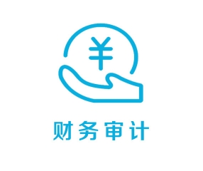 財(cái)務(wù)審計(jì)